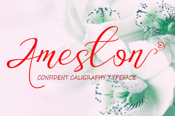 Ameston Font: A Designer’s Guide to Romantic Branding