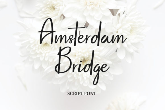 Amsterdam Bridge: A Refined Script Font for Editorial Design