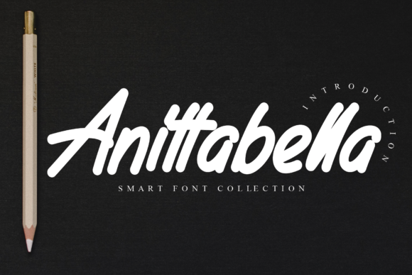 Anittabella: A Script Font That Elevates Campaign Visuals