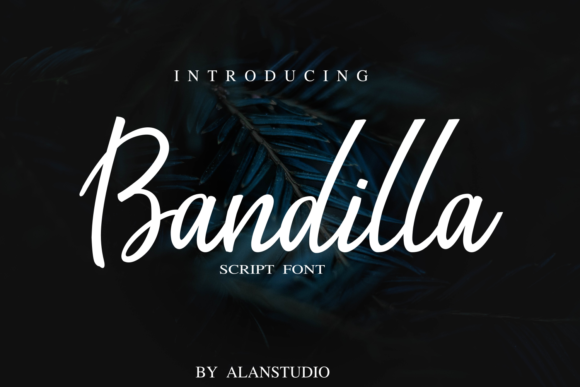 Bandilla Font: A Friendly Typeface for Web Design