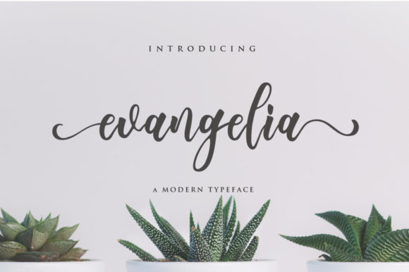 Evangelia: A Script Font for Elegant Branding