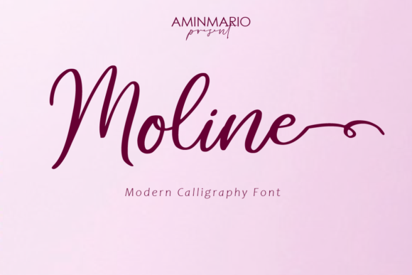 Moline: A Modern Typeface for Small Business Branding