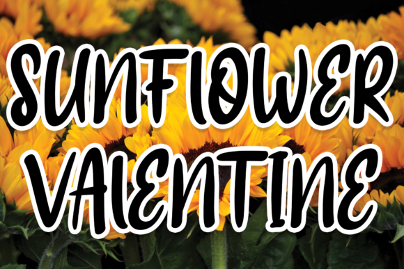 Sunflower Valentine Font for Branding